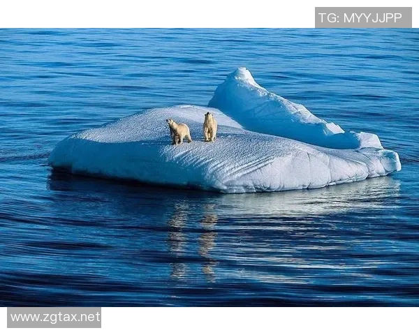 亚马尔地区地理环境与人类活动对气候变化的影响研究